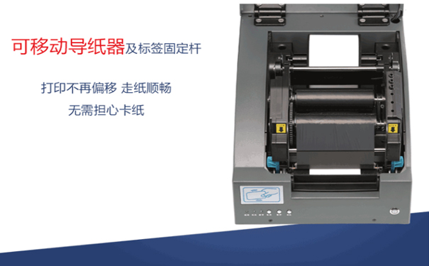 1551681846385186.jpg 9800內臟.jpg